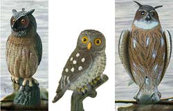 Vogelscheuchen